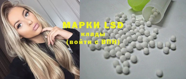 PSILOCYBIN Богородицк