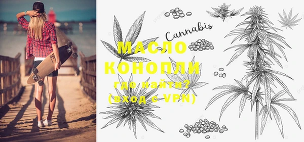 крисы Бородино