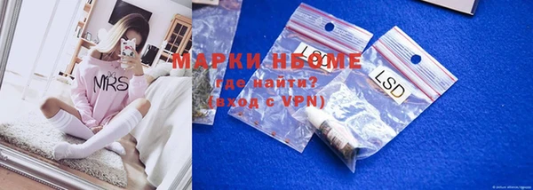 крисы Бородино