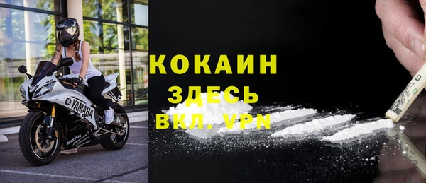 прущие грибы Бежецк