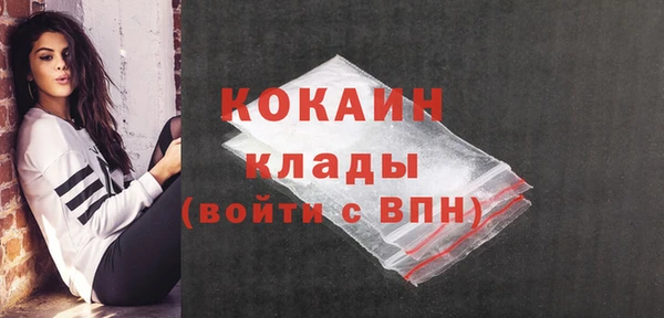 крисы Бородино