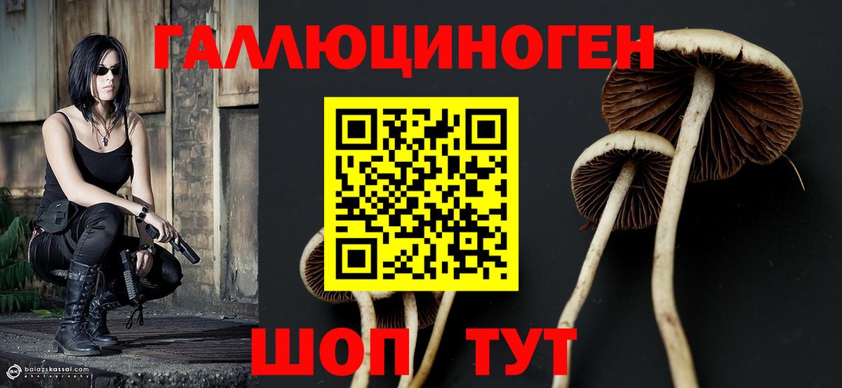 Верхняя Пышма  Псилоцибиновые грибы Cubensis  Вход с VPN 