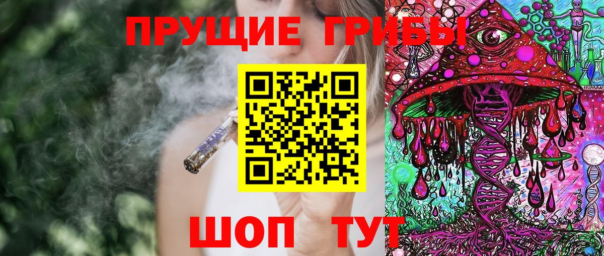 Галлюциногенные грибы GOLDEN TEACHER Верхняя Пышма
